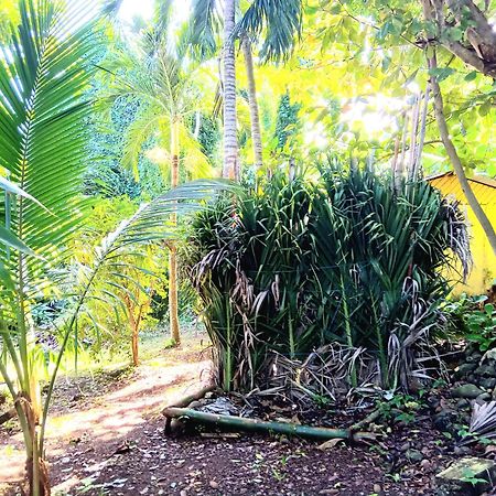 La Familia Guest House And Natural Farm Порт Антонио Екстериор снимка