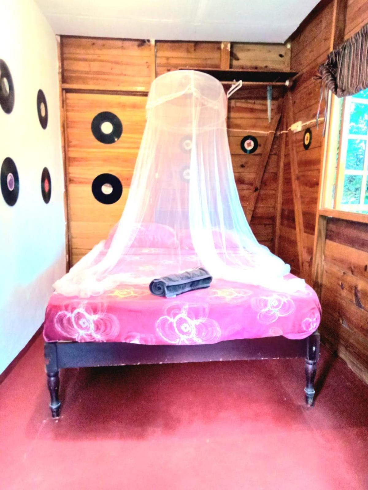 La Familia Guest House And Natural Farm Порт Антонио Екстериор снимка
