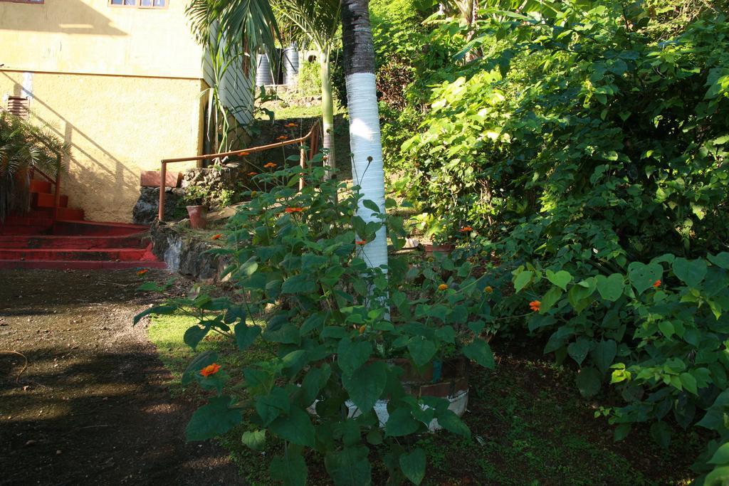 La Familia Guest House And Natural Farm Порт Антонио Екстериор снимка